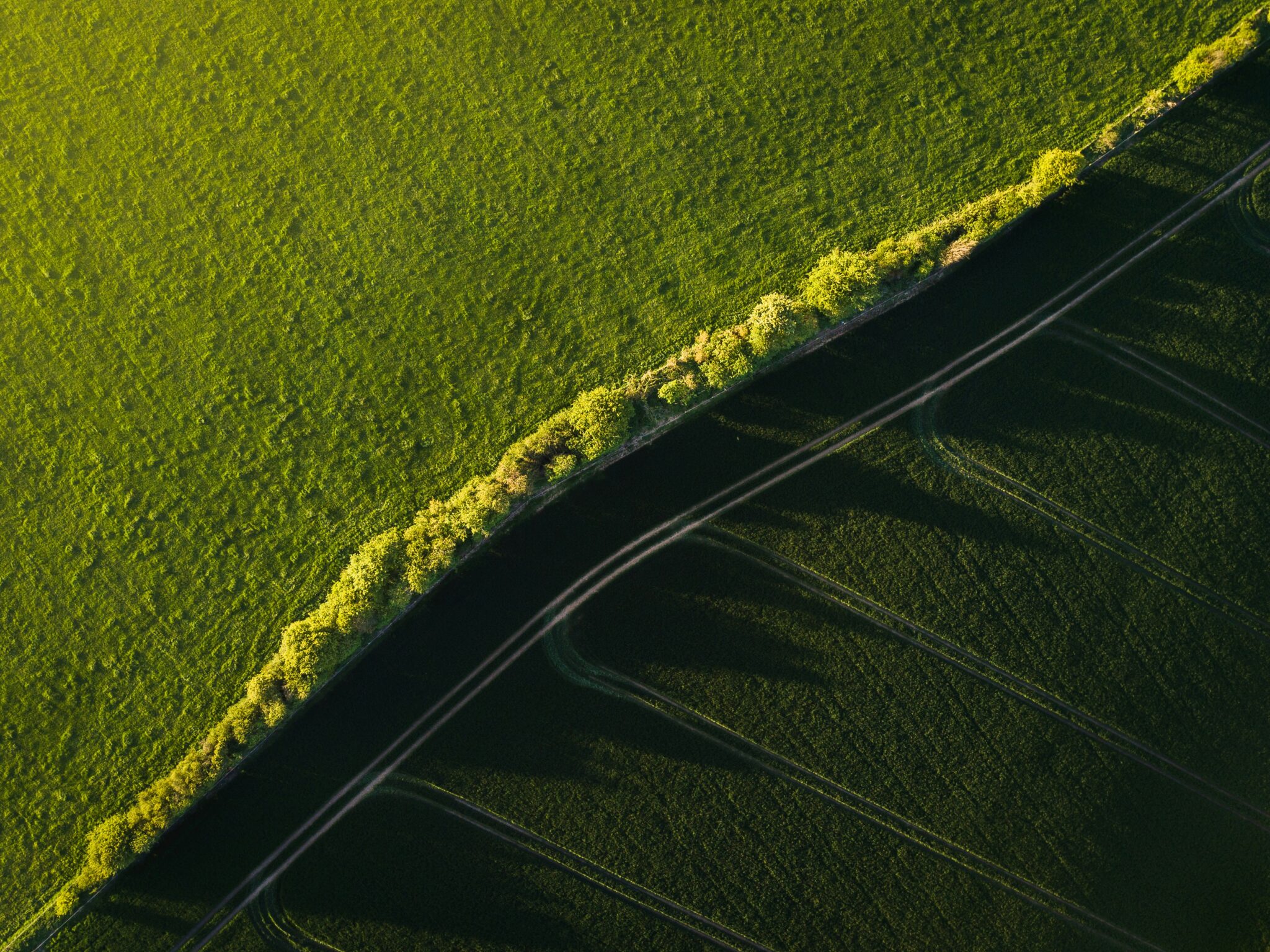 Ivan bandura g 1 fxigegc unsplash
