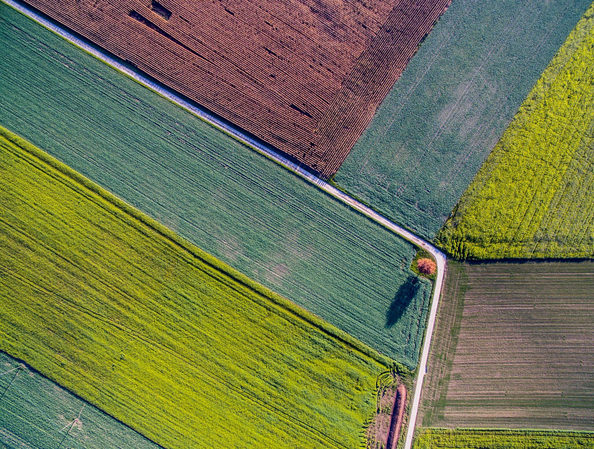 Jean wimmerlin ruj5b4yxahe unsplash